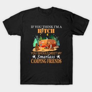 If You Think Camping Friends T-Shirt